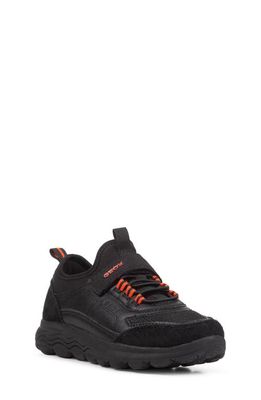 Geox Kids' Spherica Sneaker in Black/Orange