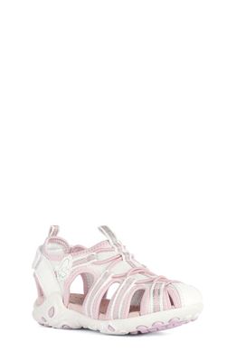 Geox Kids' Whinberry Sandal in White/Pink