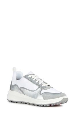 Geox PG1X Sneaker in Light Grey/White