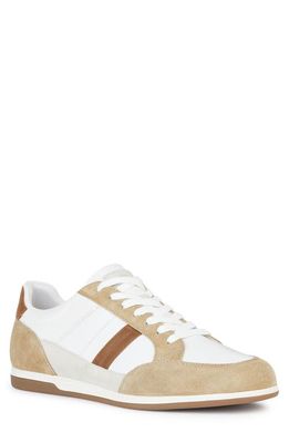 Geox Renan Sneaker in White/Browncotto
