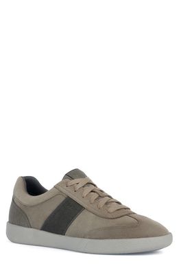 Geox Rieti Sneaker in Dove Grey/Mud