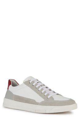 Geox Segnale Sneaker in White/Grey