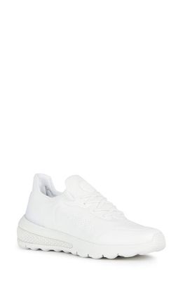 Geox Spherica Slip-On Sneaker in White