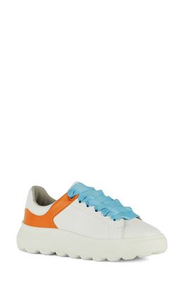 Geox Spherica Sneaker in White/Orange