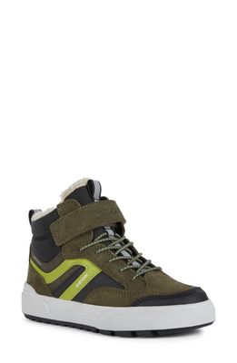 Geox Weemble Sneaker in Dk Green/Lime Green