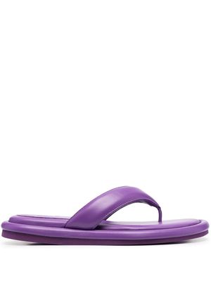 GIABORGHINI Gia 5 thong sandals - Purple