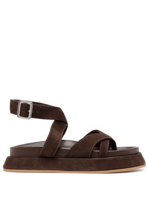 GIABORGHINI GIA/RHW Rosie 41 flat sandals - Brown