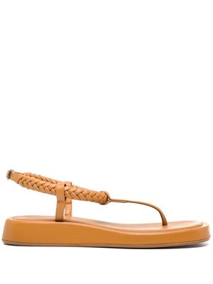 GIABORGHINI x Rosie Huntington-Whiteley 3 flat thong sandals - Brown