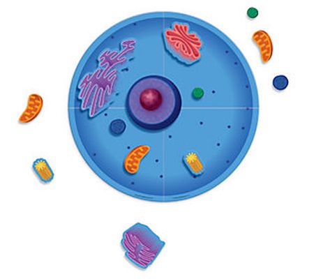 Giant Magnetic Animal Cell by Learning Resource s