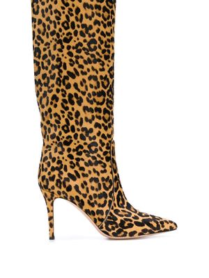 Gianvito Rossi leopard knee high boots - Brown