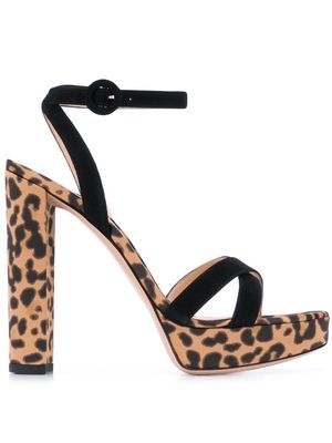 Gianvito Rossi Poppy leopard print sandals - Black