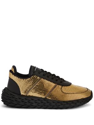 Giuseppe Zanotti Urchin snakeskin-effect panelled sneakers - Gold