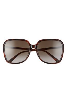 Givenchy 62mm Oversize Rectangle Sunglasses in Dark Havana/Brown Gradient