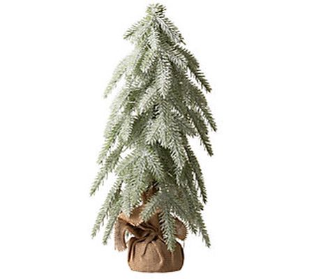 Glitzhome 18" LED Lighted and Frosted Table Chr istmas Tree