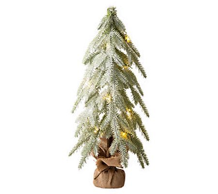 Glitzhome 22" LED Lighted and Frosted Table Chr istmas Tree