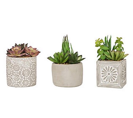 GlitzHome Faux Succulent Plants in Cement Pots et of 3