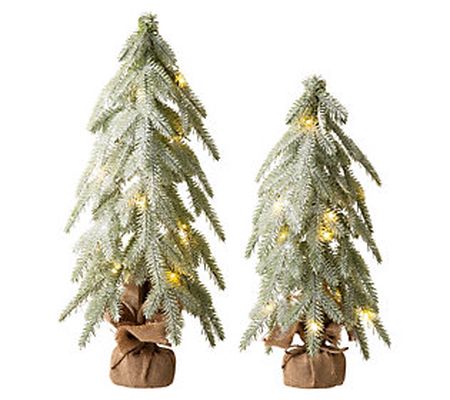 Glitzhome LED Lighted and Frosted Table Christm as Trees S/2