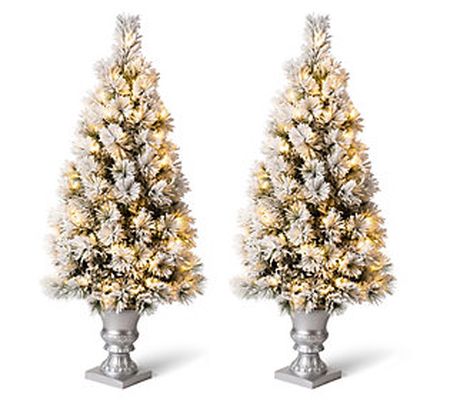 Glitzhome Set of 2 4ft Mixed Fluffy Pine Lighte d Porch Tree
