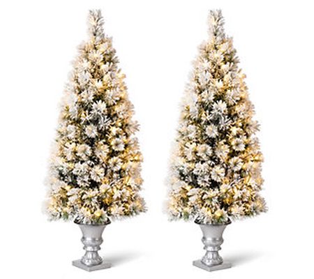 Glitzhome Set of 2 5ft Mixed Fluffy Pine Lighte d Porch Tree