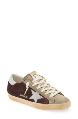 Golden Goose Super-Star Genuine Calf Hair Low Top Sneaker in Chocolate/Taupe/Silver