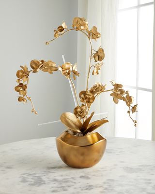 Golden Wave Orchid Arrangement