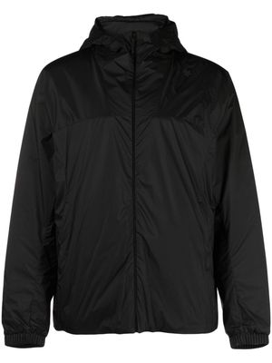 Goldwin Pertex Quantum Padded jacket - Black