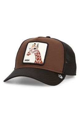 Goorin Bros. High Giraffe Trucker Hat in Coffee 