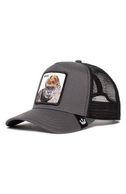 Goorin Bros. The Boss Gorilla Patch Trucker Hat in Charcoal