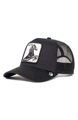 Goorin Bros. The Stallion Patch Trucker Hat in Black