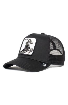 Goorin Bros. The Stallion Trucker Hat in Black