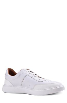 Gordon Rush Newport Sneaker in White