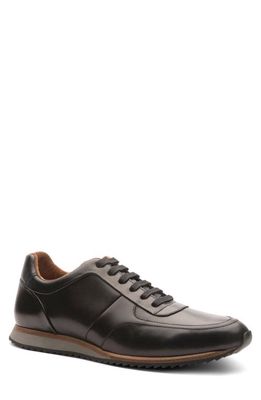 Gordon Rush Stokes Sneaker in Black