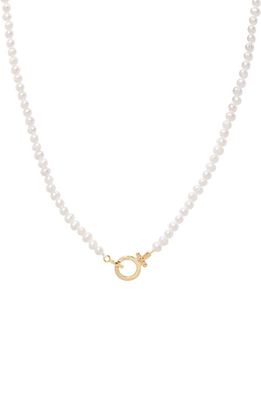 gorjana Parker Freshwater Pearl Necklace in White Pearl