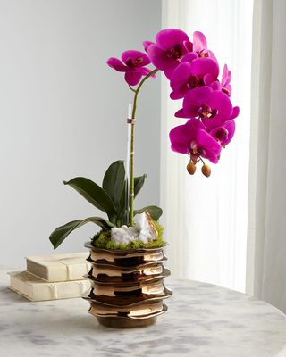 Green Orchid with Amethyst in Contemporary Pot