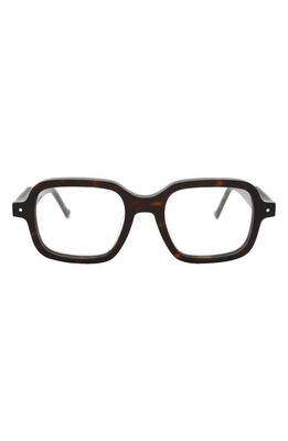 Grey Ant Sext Square Reading Glasses in Tortoise/Clear