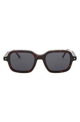 Grey Ant Sext Square Sunglasses in Tortoise/Grey