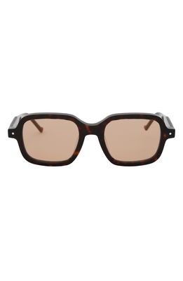 Grey Ant Sext Square Sunglasses in Tortoise/Tan