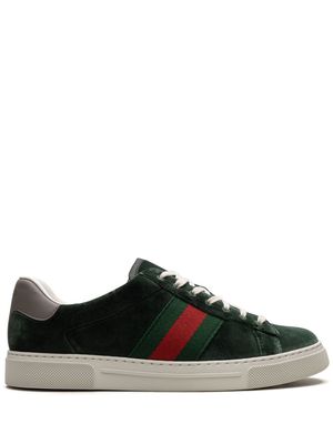 Gucci Ace velvet sneakers - Green