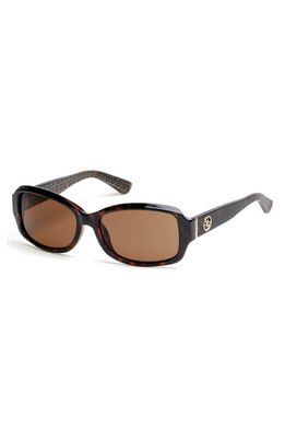 GUESS 55mm Rectangular Sunglasses in Dark Havana /Brown