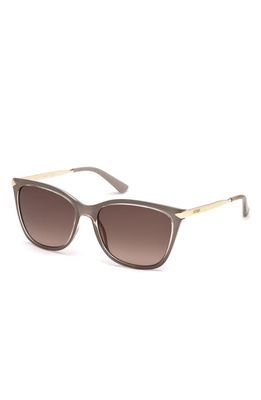GUESS 56mm Cat Eye Sunglasses in Shiny Beige /Gradient Brown