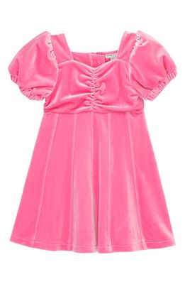 Habitual Kids Kids' Princess Seam Puff Sleeve Velour Party Dress in Pink