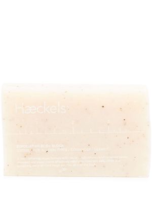 Haeckels rectangle-body exfoliating body block - Neutrals