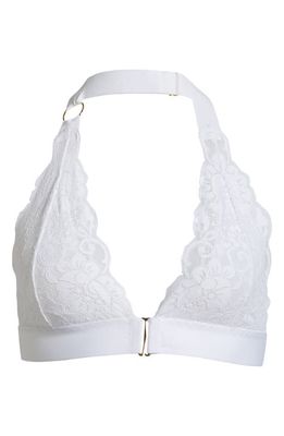 HAH Groupie Lace Bralette in Blanc
