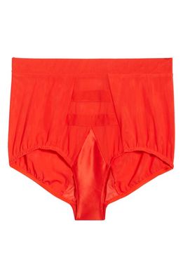 HAH High Waist Mesh Panties in Blood Orange