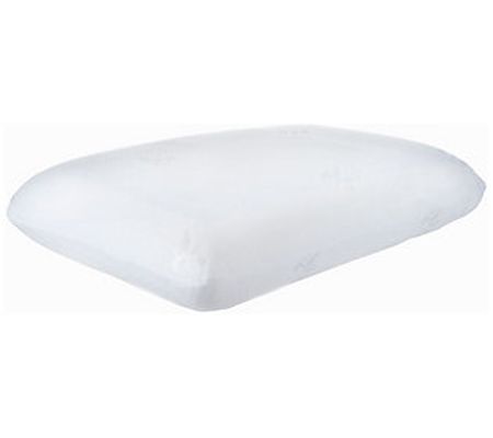 Hastings Home Comfort Gel Memory Foam Pillow wi th Cover