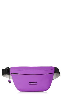 Hedgren Halo Water Repellent Belt Bag in Violet