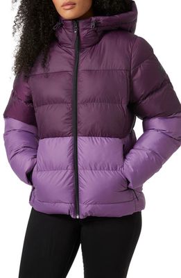 Helly Hansen Active Quilted Insulated Puffer Coat in Amethyst