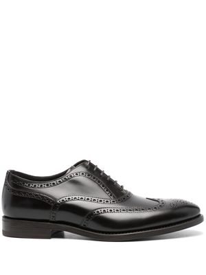 Henderson Baracco perforated-detail leather oxford shoes - Brown