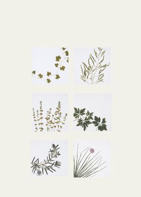 Herbarium Napkins, Set of 6