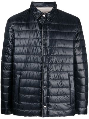 Herno button-fastening padded jacket - Blue